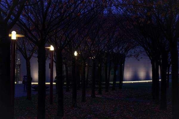 van gogh museum night