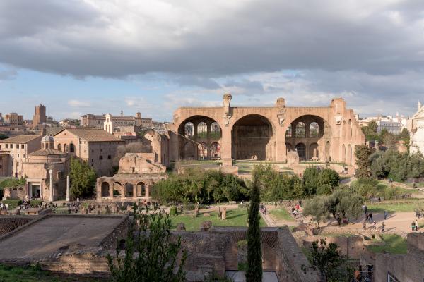 basilica of maxentius & constantine (wide)