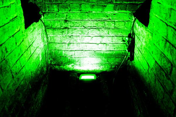 green lighted
