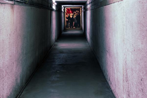 tunnelled