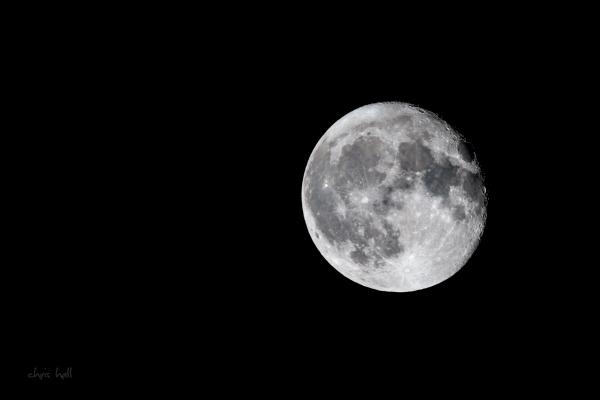 hunter's moon 