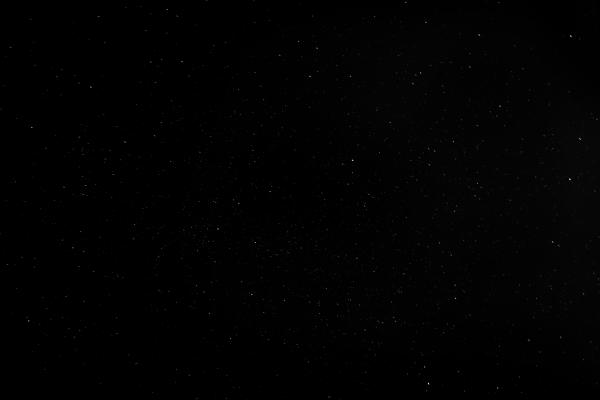 palma starfield
