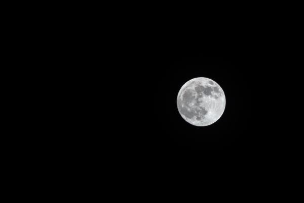 wolf moon