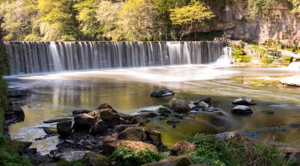 almond falls